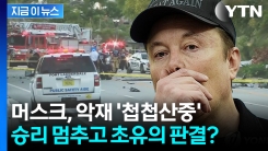 "테슬라 오토파일럿 작동 중 사람 치어 사망"...징벌적 배상 두고 주목 [지금이뉴스]