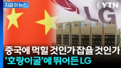 중국과 손잡고 \'세계 제패\' 노린다... LG전자의 파격적인 승부수 [지금이뉴스]