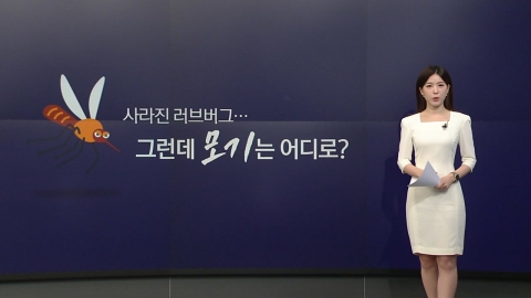 모기가 사라졌다? \'비 온 후\' 주의해야 [앵커리포트]
