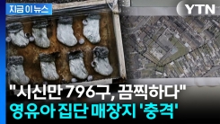 ‘796구 영아 시신’ 집단 매장지 발견...아일랜드 사회 ‘충격’ [지금이뉴스]