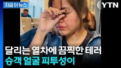 달리는 열차에 돌을 냅다...가해자 추적 [지금이뉴스] 
