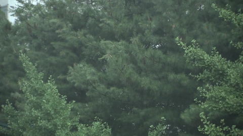  경기도 평택에 호우경보...강원·충북 호우주의보 확대