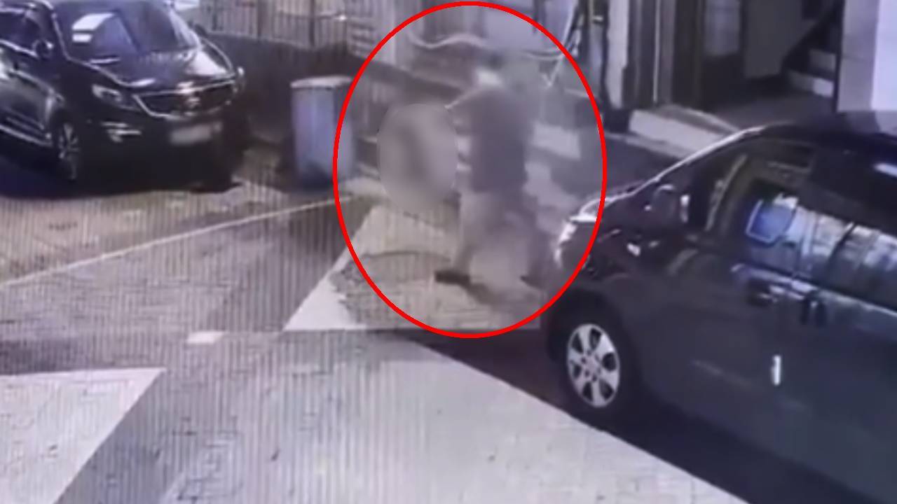 CCTV에 찍힌 잔혹 학대...길고양이 안전고깔에 가두고 죽인 20대