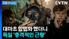 대마초 합법화 한 독일...환자 급증에 \'발칵\' [지금이뉴스] 
