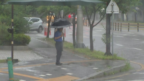 [날씨] 전남 다시 호우경보, 오늘 밤 고비…시간당 80mm 폭우