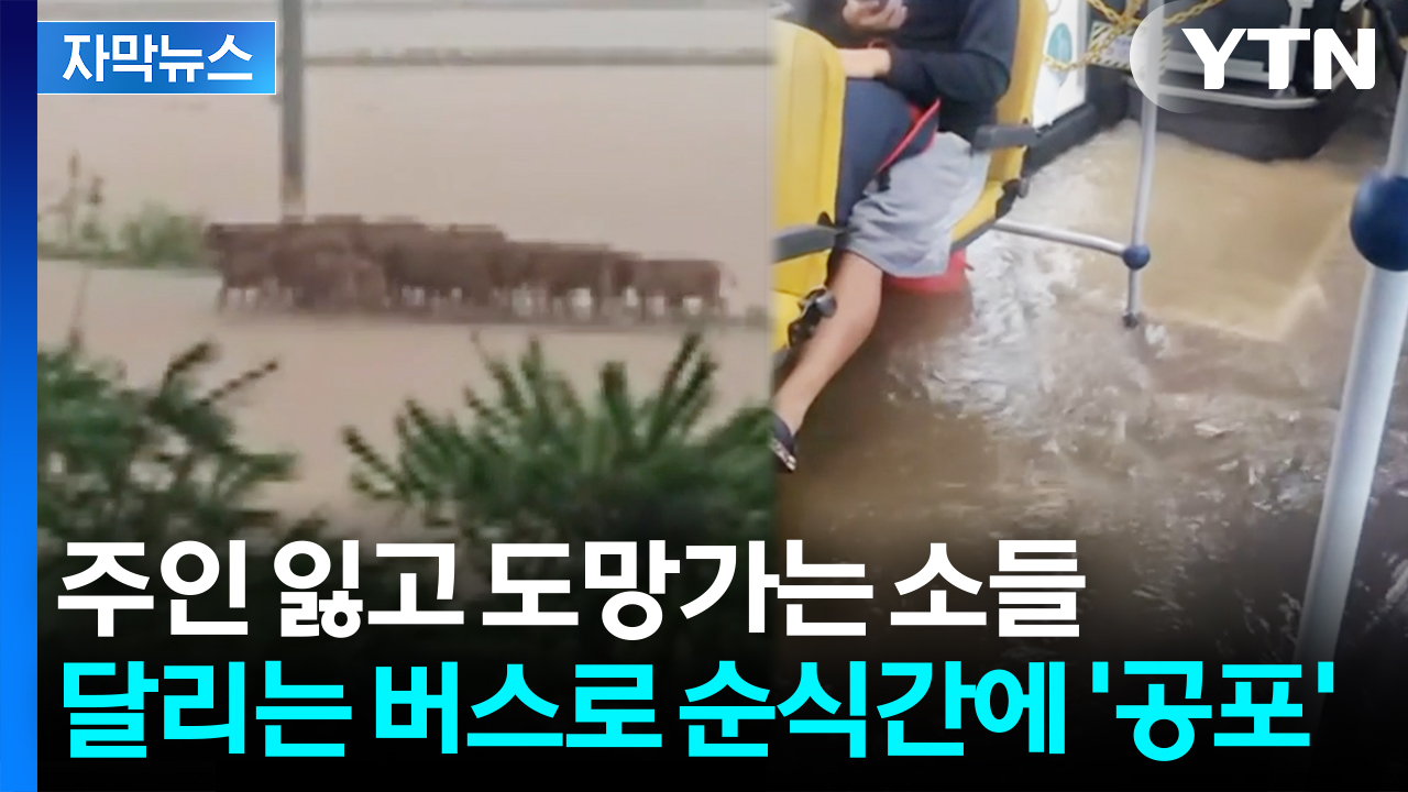 [자막뉴스] 거세게 밀려드는 물살에 죽음의 공포...목숨 건 사투 벌인 충남 시민들