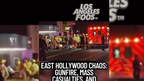 미 LA 할리우드서 인파에 차량 돌진...28명 부상