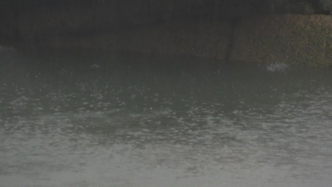  경기 양주 시간당 50mm·의정부 포천 40mm '폭우'