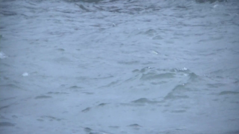  경기 포천 시간당 100mm 극한 호우...춘천에 긴급 호우재난문자