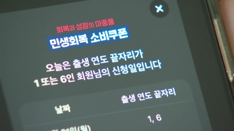 소비쿠폰 첫날, 행안부·일부 카드사 서버 \'먹통\'
