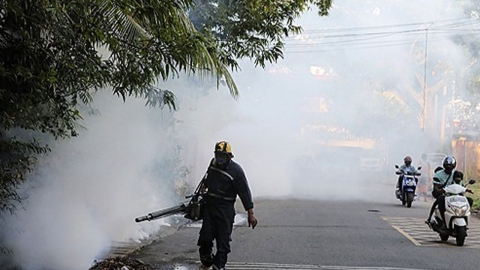 '치쿤구니야 열병' 유행 가능성 경고...중국 등 긴장