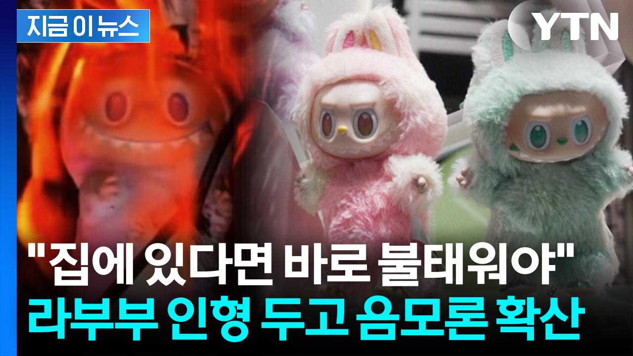없어서 못 산다던 라부부, 알고 보니 악마?...음모론에 화형식까지 [지금이뉴스] 