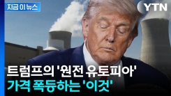 바닥 찍고 14개월 동안 하락하더니...심상치 않은 추세 [굿모닝경제]