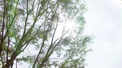  경기북부·강원·충청·호남 곳곳 폭염경보 확대