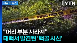 머리 부분 사라진 시신 발견...심각한 부패 상태에 신원확인 난항 [지금이뉴스]