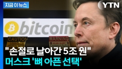 머스크도 땅 치고 후회할 선택...손절한 비트코인 가치가 무려 [지금이뉴스]