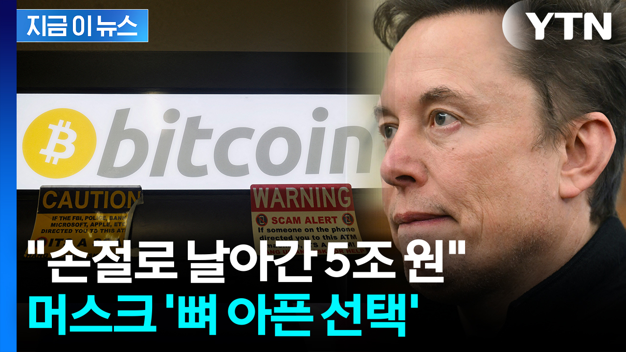 머스크도 땅 치고 후회할 선택...손절한 비트코인 가치가 무려 [지금이뉴스]