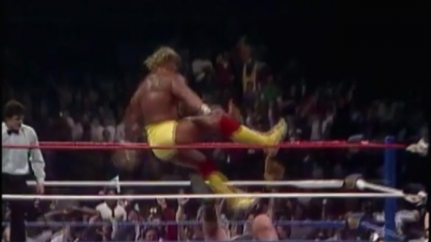 "잘가요"...WWE 전설 '헐크 호건' 71세로 별세 [앵커리포트]