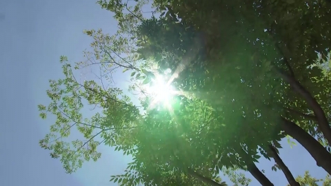  현재 서울 37.9℃...올여름 최고 기온 경신