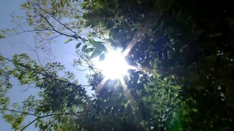 경기 안성 양성면 40.6℃...서울 38℃, 올여름 최고