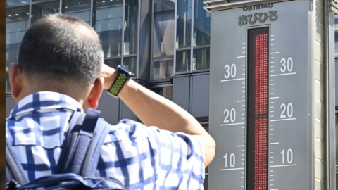 "8월 도쿄 습도, 방콕보다 높아"...도쿄 체감 더위는 우기 열대 지역