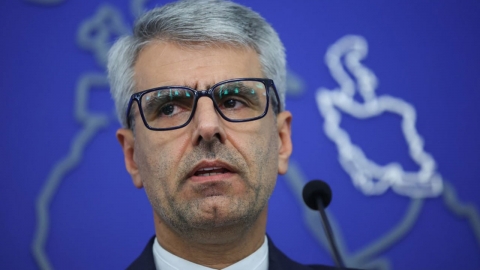 이란 "IAEA 관계자 2주 내 방문...협력 지속 방안 논의"