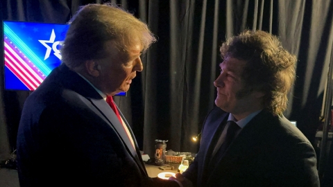 '친 트럼프' 아르헨티나 밀레이, 미국의 10% 상호 관세·무비자 추진에 "대미 밀착 외교 성과"