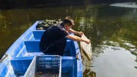 중국 남부 '모기 매개' 치쿤구니야열병 5천 명 확진