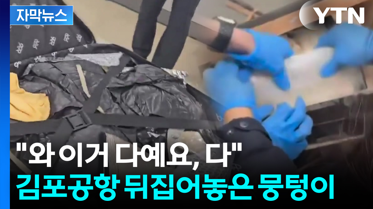 [자막뉴스] "뭔가 이상해" 붙잡고 가방 열자...한국에 퍼뜨리려다 덜미