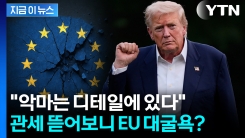 "독일· 프랑스 직격탄 맞을 수도"...트럼프 승리 거머쥐나 [지금이뉴스]