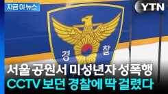 한밤 공원서 미성년자 성폭행하던 20대...범행 장면 포착돼 검거 [지금이뉴스] 