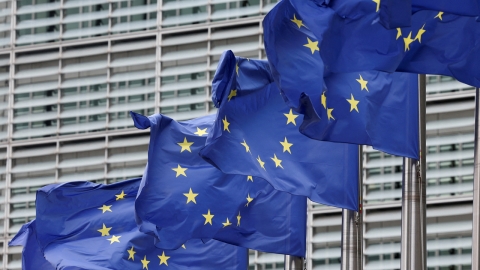 "EU, 합의한 대로 미국산 에너지 구매하면 의존도 70％...실현 불가능"