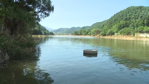  "발견된 신원 미상 시신, 40대 여성 실종자로 확인"