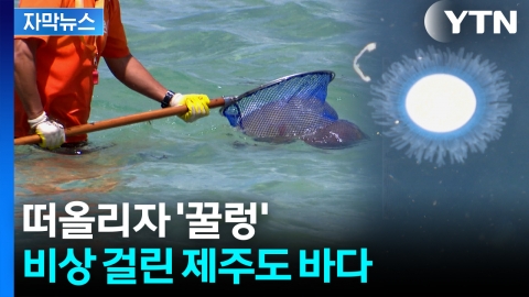 [자막뉴스] 심할 경우 호흡곤란·전신통증...바닷속 섬뜩한 정체