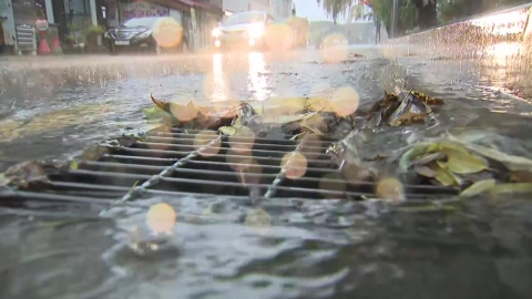  강원도 철원 호우경보 격상...시간당 50mm 극한 호우