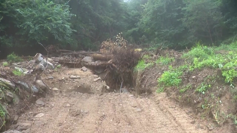  호우경보 경기 가평 산사태 주의보 발령