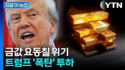 예상과 다른 결정...금에 떨어진 관세에 스위스 \'초비상\' [지금이뉴스] 