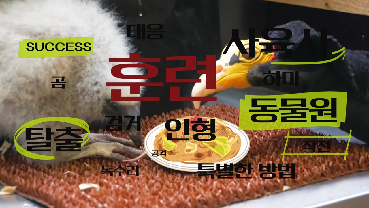 [키워드월드] <훈련> 그들이 탈을 쓴 이유?