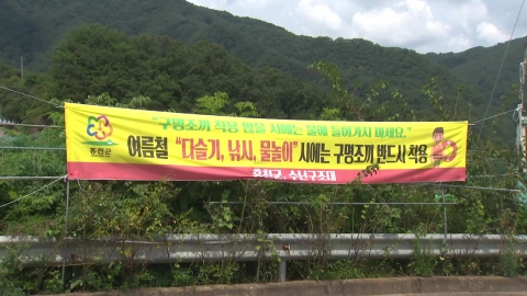 '사람 잡는' 다슬기…올여름 10명 사망