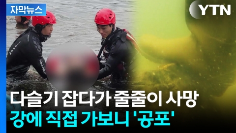 [자막뉴스] 다슬기 잡으러 갔다 하면 사망...강에 직접 갔다가 경악한 이유