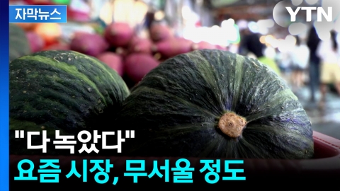 [자막뉴스] 시장에 가보니...이상기후가 만든 암담한 현실