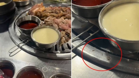 한국식 바비큐 불판에 구더기 \'득실\'…"식당 어디야" SNS 발칵