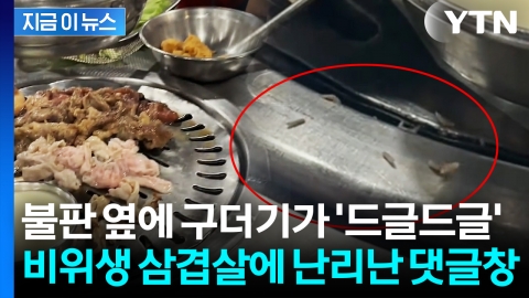 "식욕이 사라졌다" 구더기 옆에 삼겹살이...해외서 난리난 식당 [지금이뉴스]