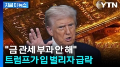 트럼프 "금에는 관세 없다" 발언에...금값 널뛰기 [지금이뉴스]