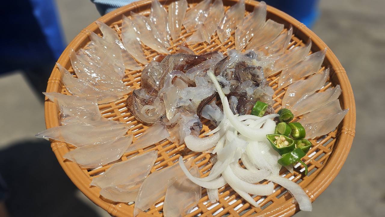 "오징어 두 마리 5만 6,000원"...속초 난전 방문했다 '분통'
