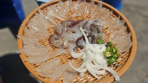 "오징어 두 마리 5만 6,000원"…속초 난전 방문했다 \'분통\'