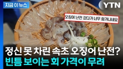 오징어 난전 가격에 \'어이상실\'...속초시청에 올라온 분노의 글 [지금이뉴스]