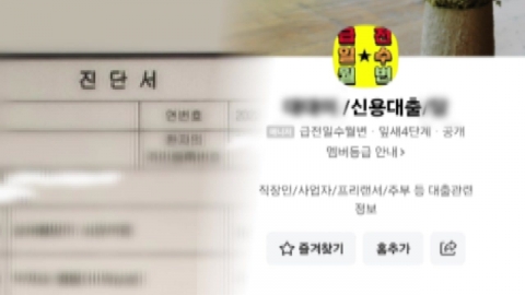 "대출 미끼로 가짜환자 모집"…보험금 11억 '꿀꺽'