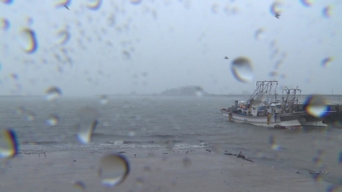  인천 옹진 호우경보...서울 인천 경기 곳곳 호우주의보