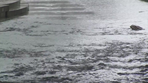 인천 전역 호우경보...도로 침수 등 피해 잇따라